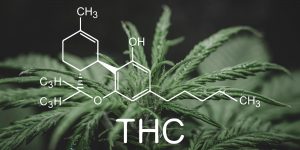 THC Field Test